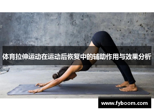 体育拉伸运动在运动后恢复中的辅助作用与效果分析